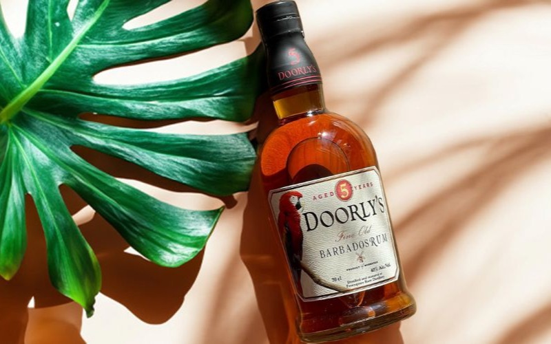 doorlys-5ykicsi